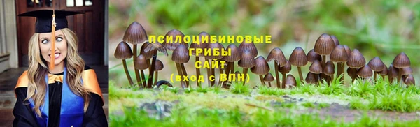 хмурый Алексин