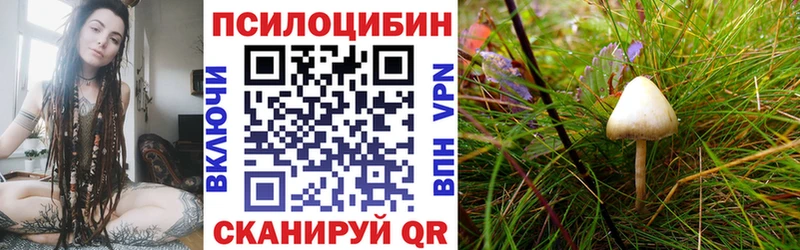 даркнет сайт  Чкаловск  Галлюциногенные грибы мицелий 